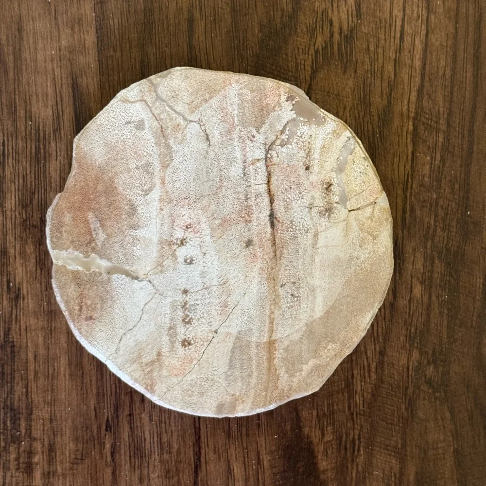 West Elm Petrified coasters set of 4